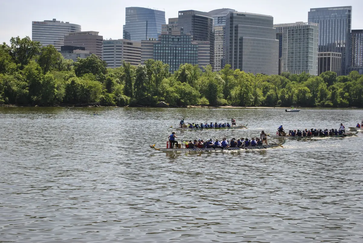 DC Dragon Boat Festival at Georgetown Waterfront Park